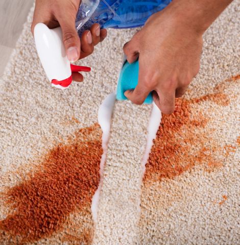 carpets-cleaning-pg-4